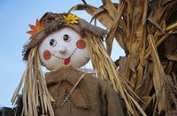 Scarecrow and Dead Corn Husks poster print by John & Lisa Merrill depicting a rural autumn landscape.