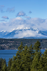 Bremerton Washington State Mount Constance Poster Print by Jolly Sienda