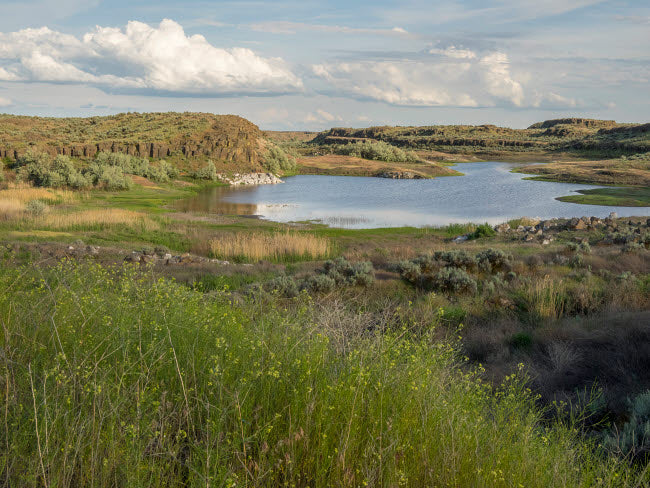 Columbia National Wildlife Refuge poster print featuring Migraine Lake by Jamie & Judy Wild.