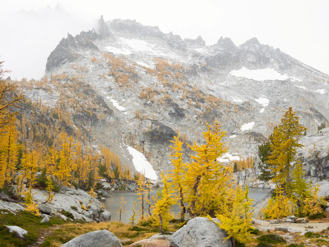 Enchantment Lakes Wilderness Poster Print featuring golden larch trees and McClellan Peak.