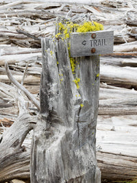 Washington State Alpine Lakes Wilderness Trail Sign Poster Print by Jamie & Judy Wild