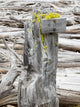 Washington State Alpine Lakes Wilderness Trail Sign Poster Print by Jamie & Judy Wild