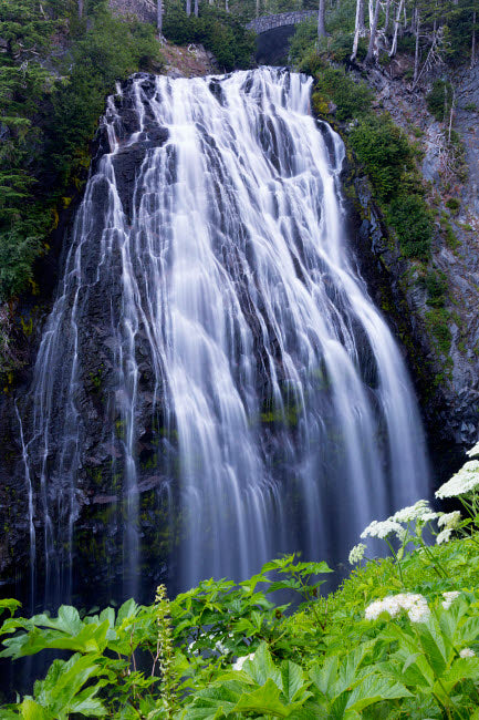 Mount Rainier National Park Narada Falls Poster Print by Jamie & Judy Wild