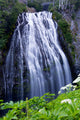 Mount Rainier National Park Narada Falls Poster Print by Jamie & Judy Wild