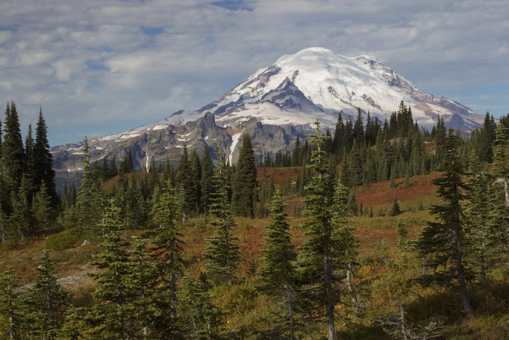 Autumn Morning at Mount Rainier Poster Print by Ken Archer showcasing vibrant autumn colors.