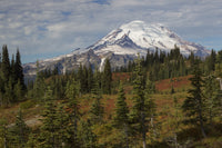 Autumn Morning at Mount Rainier Poster Print by Ken Archer showcasing vibrant autumn colors.