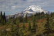 Autumn Morning at Mount Rainier Poster Print by Ken Archer showcasing vibrant autumn colors.