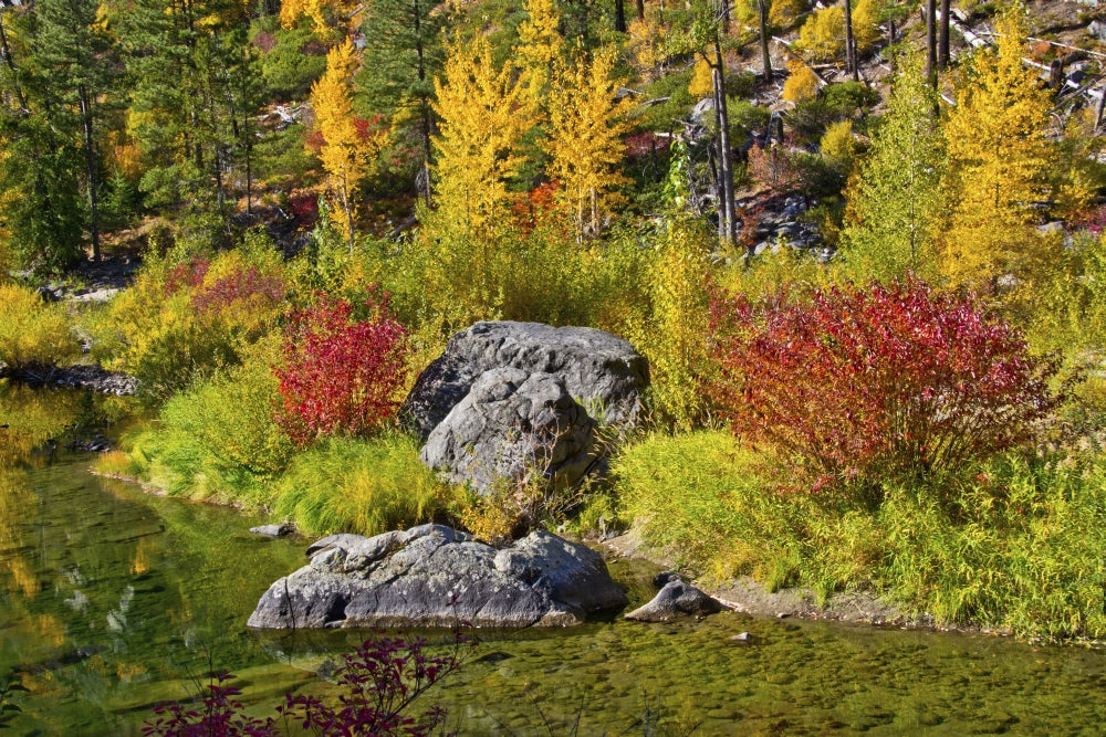 Autumn Color Tumwater Canyon Poster Print by Michel Hersen