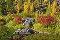 Autumn Color Tumwater Canyon Poster Print by Michel Hersen