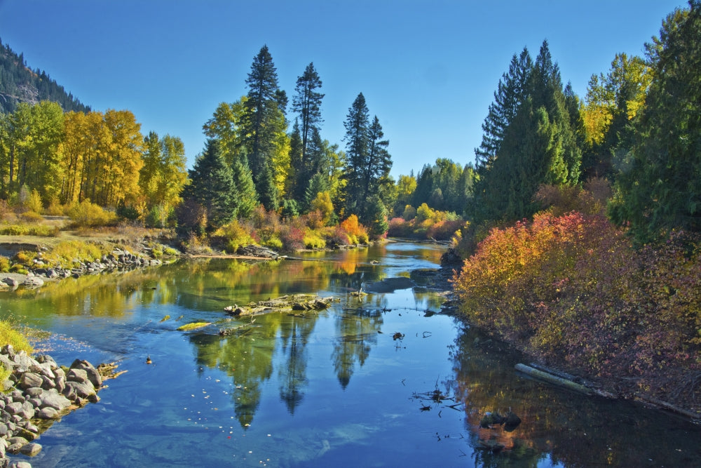 Autumn Color Poster Print of White River, Wenatchee National Forest by Michel Hersen
