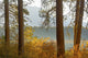 Autumn foliage poster print featuring Fish Lake in Wenatchee National Forest, Washington State.