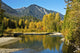 Autumn foliage along White River in Wenatchee National Forest, Washington State - Poster Print by Michel Hersen