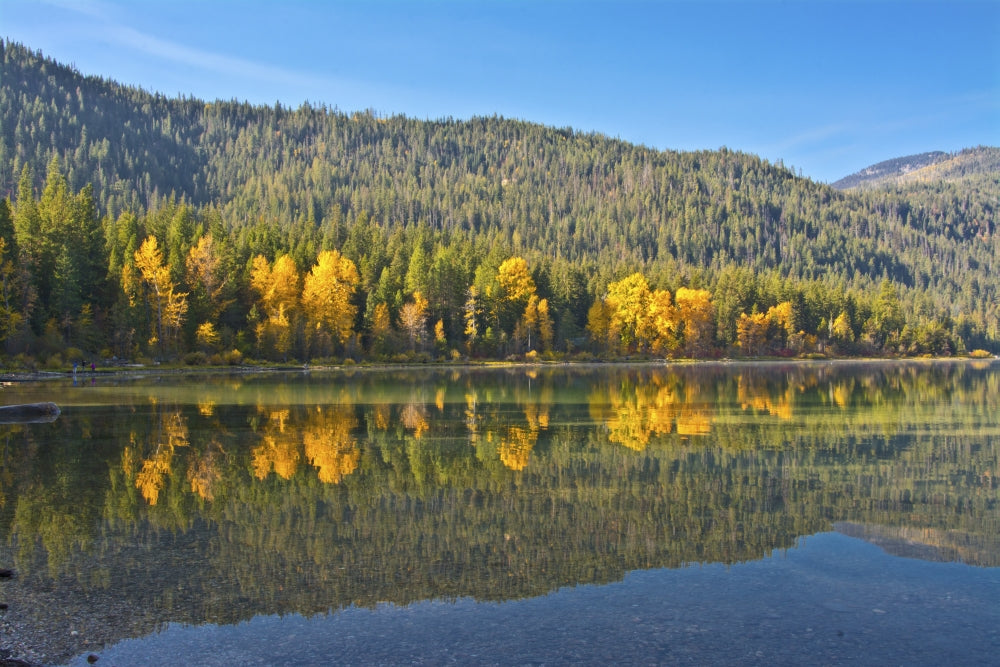 Autumn Reflections at Lake Wenatchee Poster Print by Michel Hersen