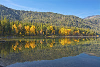 Autumn Reflections at Lake Wenatchee Poster Print by Michel Hersen
