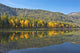 Autumn Reflections at Lake Wenatchee Poster Print by Michel Hersen