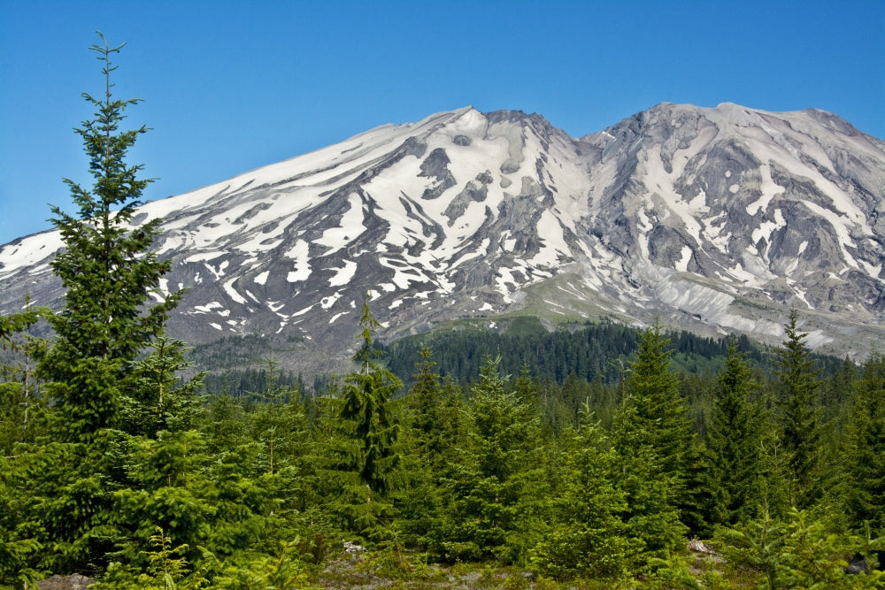 Lahar Area Poster Print - Mount St. Helens National Volcanic Monument