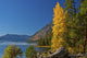 Autumn Scene at Lake Wenatchee Poster Print by Michel Hersen