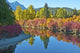 Fall Foliage in White River Area Poster Print by Michel Hersen