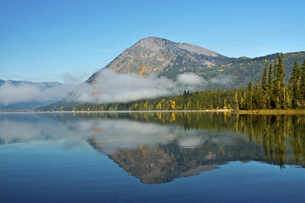 Autumn foliage at Lake Wenatchee poster print by Michel Hersen