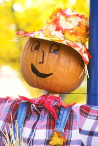 Halloween Holiday Scarecrow Poster Print by Rob Tilley