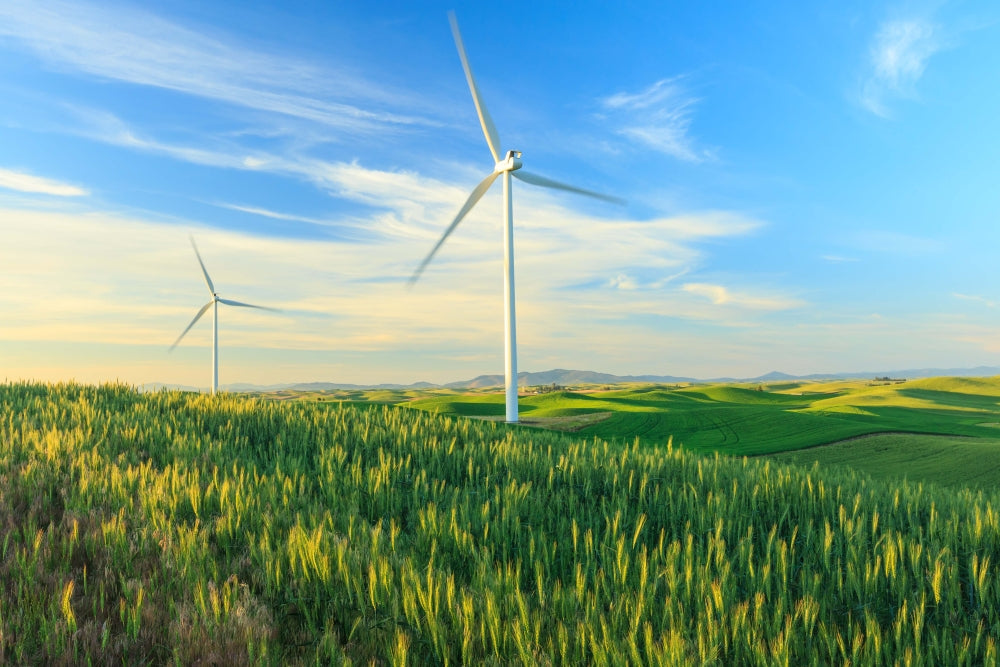 Wind turbines near Oakesdale, Palouse, Washington State - Poster Print by Stuart Westmorland