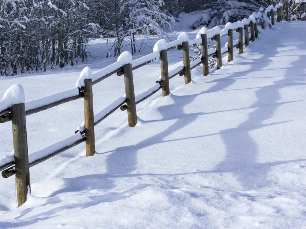 Snow Covered Fence Poster Print by Terry Eggers, winter landscape art