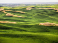 Aerial view of the Palouse Region landscape poster print by Terry Eggers.