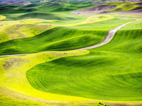 Aerial view art print of the Palouse Region by Terry Eggers