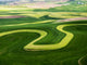 Aerial view of the lush Palouse Region landscape art print by Terry Eggers.