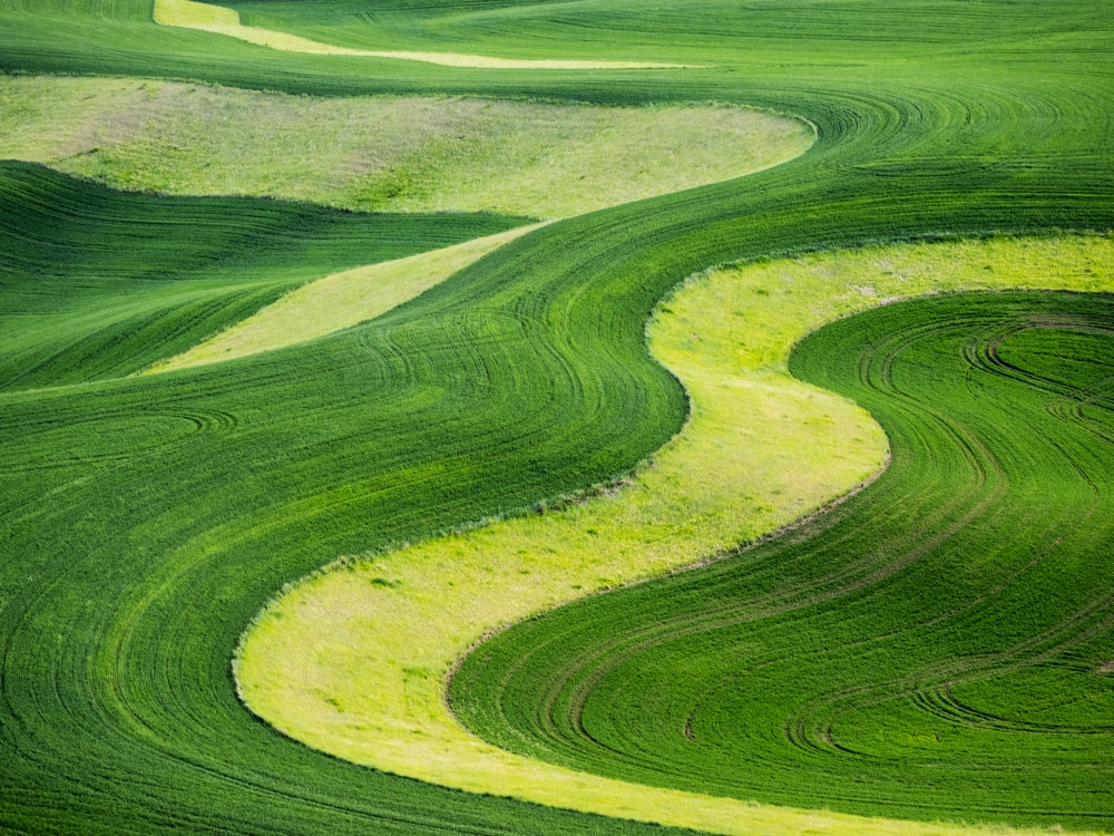 Aerial View of the Palouse Region Poster Print by Terry Eggers