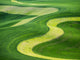 Aerial View of the Palouse Region Poster Print by Terry Eggers