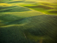 Aerial view of the Palouse Region poster print by Terry Eggers.