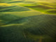 Aerial view of the Palouse Region poster print by Terry Eggers.