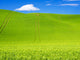 Wheel Patterns in Spring Pea Fields Poster Print by Terry Eggers