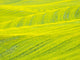 Patterns in Canola Fields Poster Print by Terry Eggers showcasing vibrant colors.