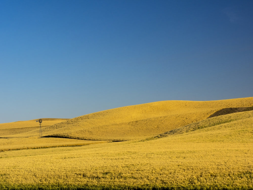 Windmill in Fields During Harvest Poster Print by Terry Eggers