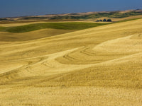 Fields During Harvest Poster Print by Terry Eggers showcasing vibrant agricultural landscape.
