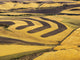 Aerial view of harvest in the rolling hills of the Palouse by Terry Eggers.