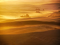 Sunset over rolling hills in Palouse Region Poster Print by Terry Eggers