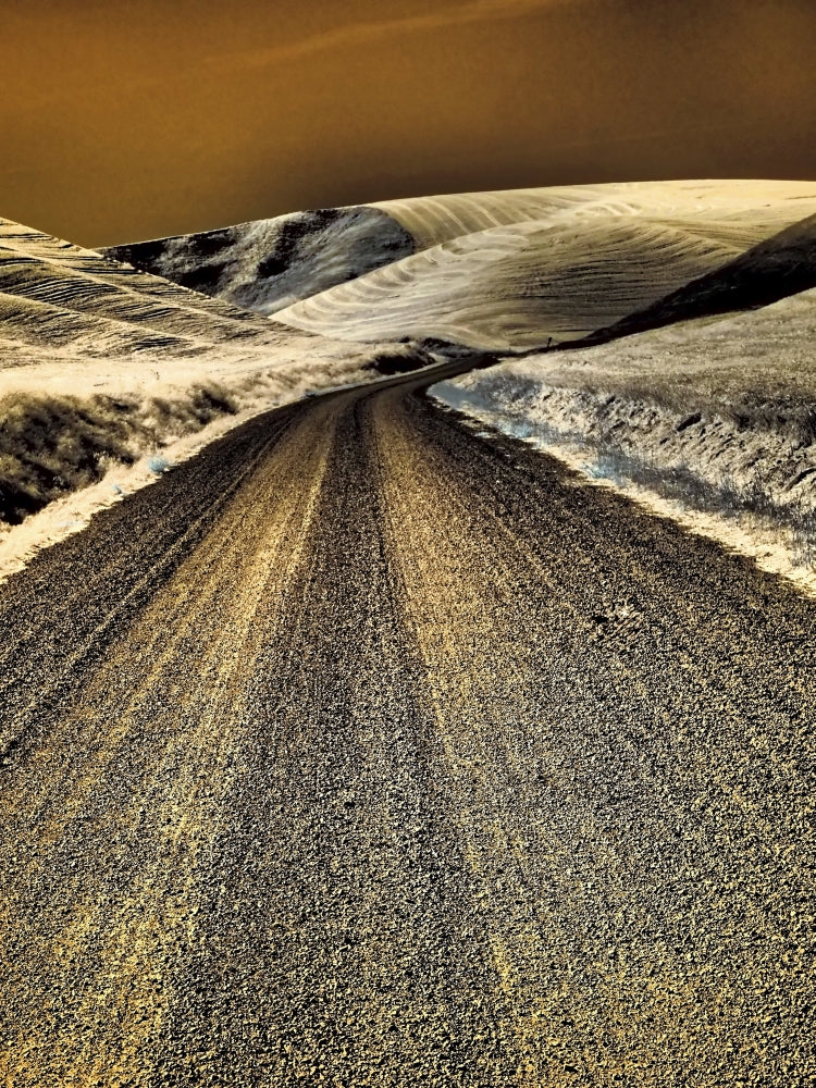 USA Washington State Country Backroad through Wheat Fields Poster Print by Terry Eggers