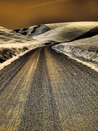 USA Washington State Country Backroad through Wheat Fields Poster Print by Terry Eggers
