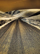 USA Washington State Country Backroad through Wheat Fields Poster Print by Terry Eggers