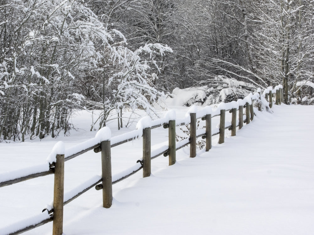 Snow Covered Fence Poster Print by Terry Eggers showcasing a winter landscape