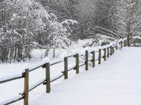 Snow Covered Fence Poster Print by Terry Eggers showcasing a winter landscape