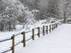 Snow Covered Fence Poster Print by Terry Eggers showcasing a winter landscape