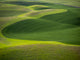Aerial view of the beautiful Palouse Region in Washington State poster print by Terry Eggers