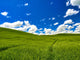 Patterns in Spring Wheat Fields Poster Print by Terry Eggers showcasing vibrant wheat field patterns in the Palouse Region.