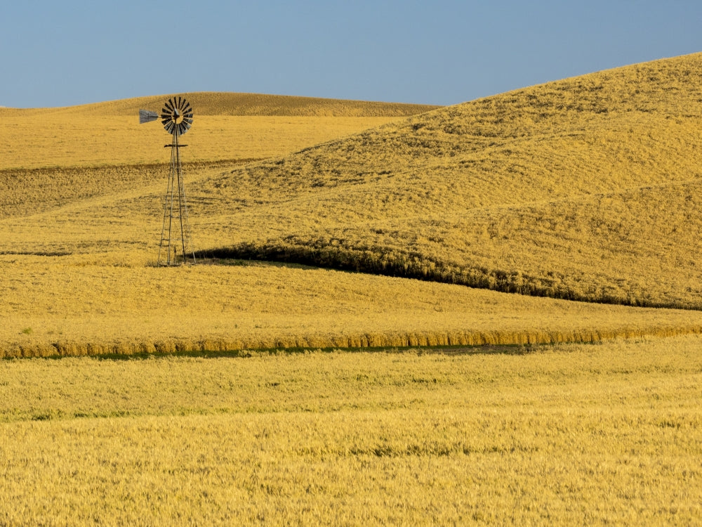 Windmill in the Palouse Region poster print by Terry Eggers, showcasing beautiful fields during harvest.