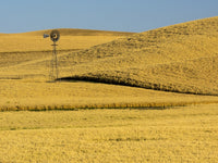 Windmill in the Palouse Region poster print by Terry Eggers, showcasing beautiful fields during harvest.