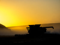 Combine Harvesting at Sunset Poster Print by Terry Eggers